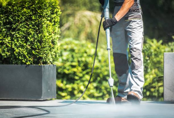 Best Gutter Cleaning  in Leon, IA